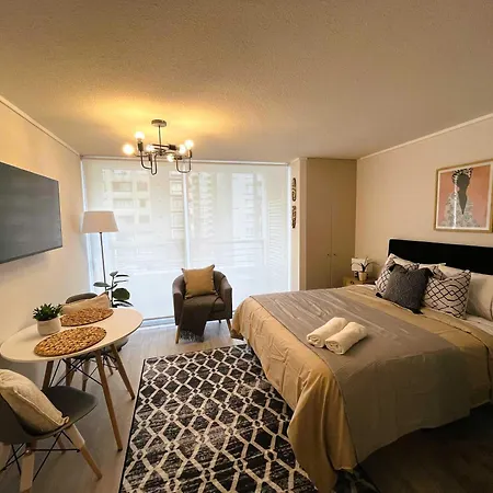 Hom I Inmejorable Studio 2Pax Con Terraza Santiago